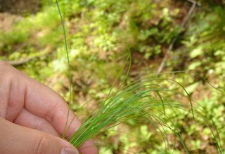 空壓機(jī)熱水機(jī)