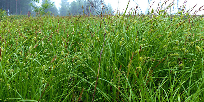 空壓機(jī)熱水機(jī)