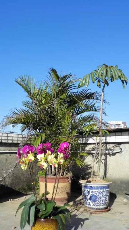 587080860493723333.jpg 587080860493723333.jpg