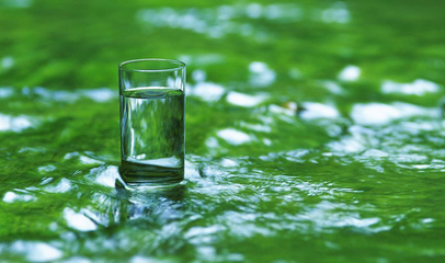 t0163e263272063e904.jpg t0163e263272063e904.jpg