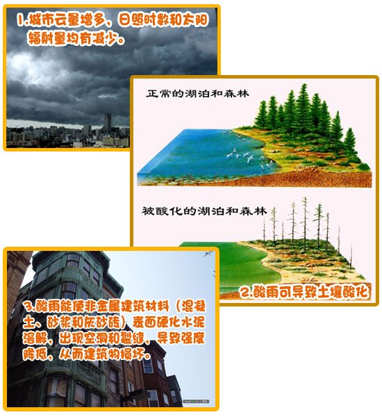 33304025.jpg 33304025.jpg